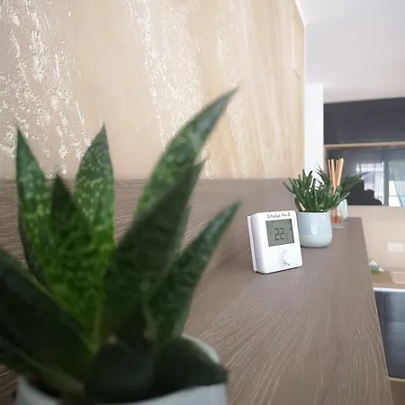 Apartment Alexandra View *