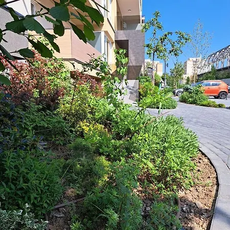 Apartament Alexandra View *